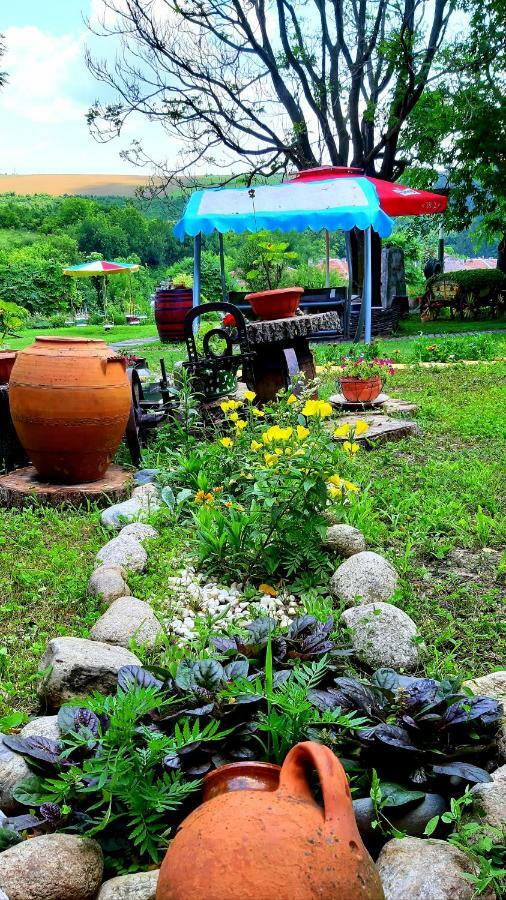 Guest House Kosharite Byala  Εξωτερικό φωτογραφία